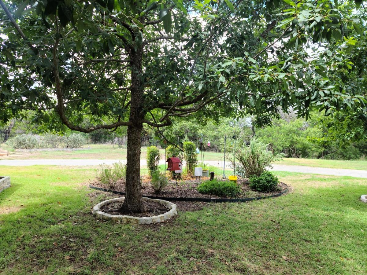 Hill Country Haute N Haus Relax And Renew Fischer Extérieur photo